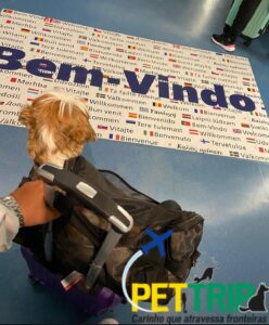 viagem de PET